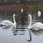 photo_2025-11-18_15-20-24