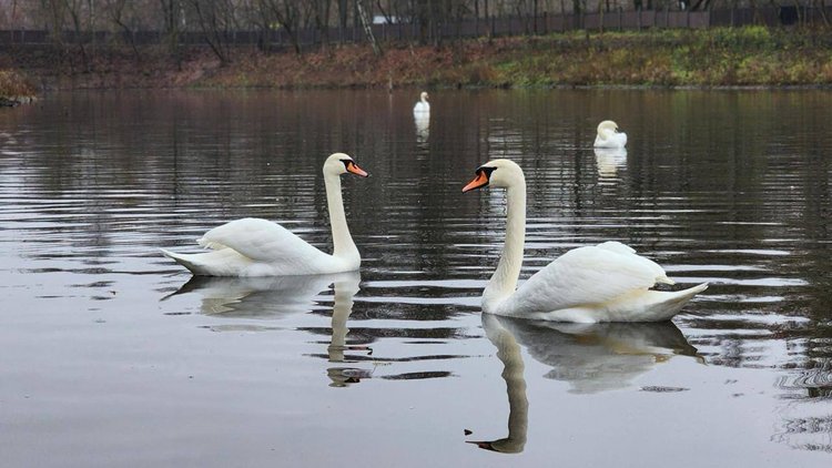 photo_2025-11-18_15-20-24