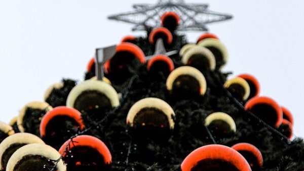 photo_2025-11-22_21-35-32