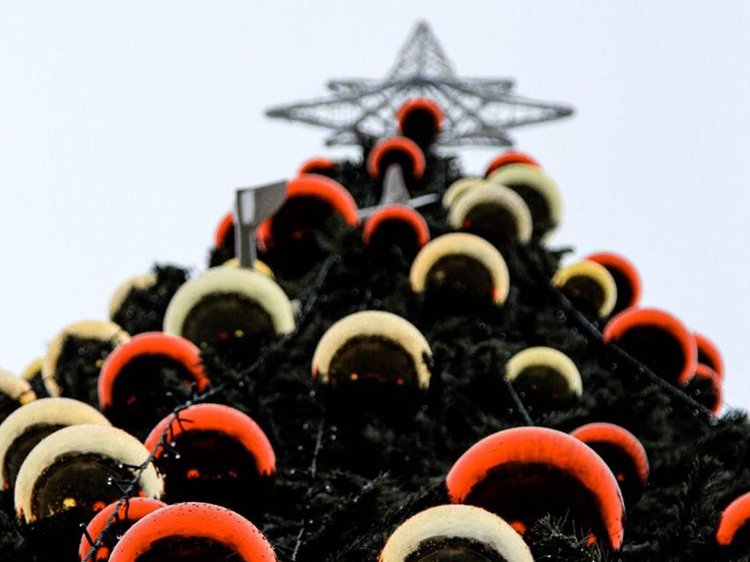 photo_2025-11-22_21-35-32