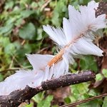 photo_2025-12-05_14-30-36