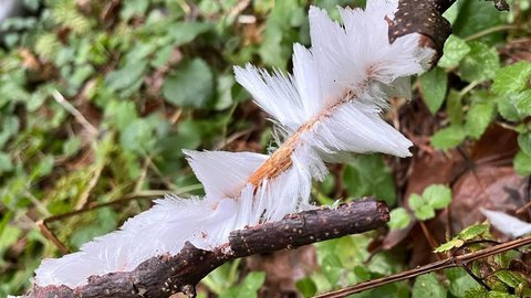 photo_2025-12-05_14-30-36