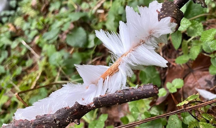 photo_2025-12-05_14-30-36