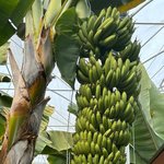 photo_2025-12-24_14-36-23