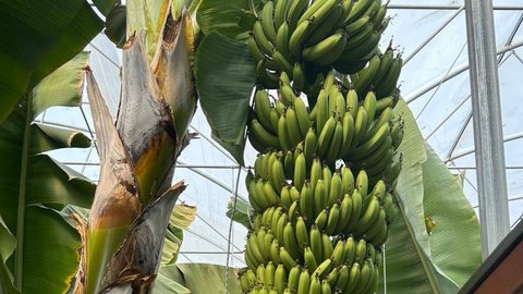 photo_2025-12-24_14-36-23