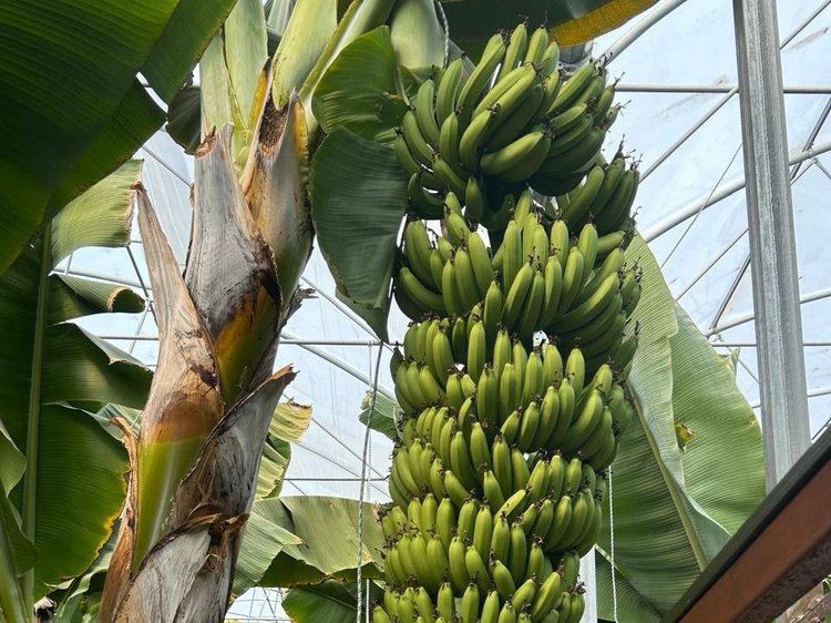 photo_2025-12-24_14-36-23