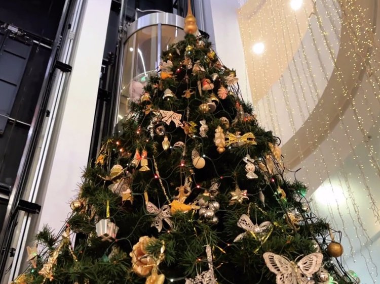 photo_2025-12-25_20-38-08