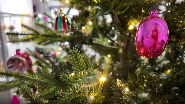 photo_2025-12-28_17-36-43