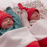 photo_2026-01-12_11-05-46