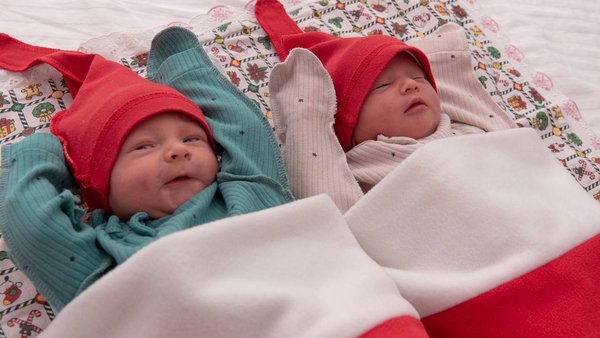 photo_2026-01-12_11-05-46