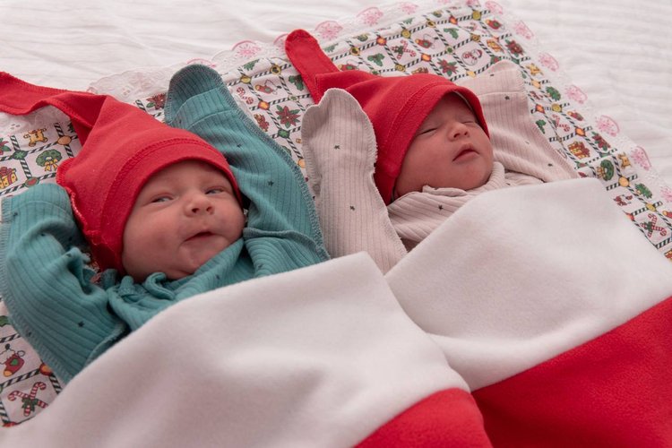 photo_2026-01-12_11-05-46