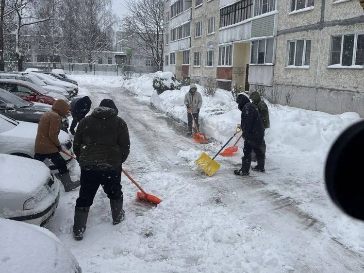 photo_2026-01-12_12-36-04