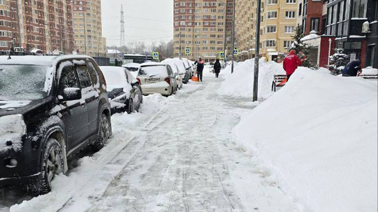 photo_2026-01-27_16-47-14