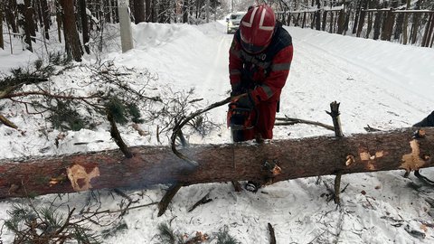photo_2026-01-28_09-52-40