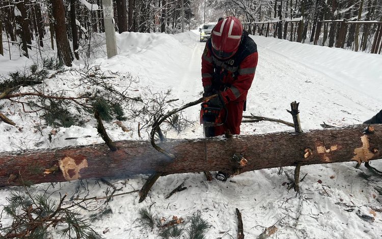 photo_2026-01-28_09-52-40