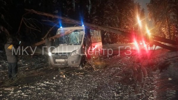 photo_2026-01-29_22-26-37