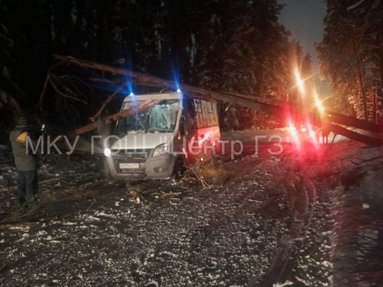 photo_2026-01-29_22-26-37