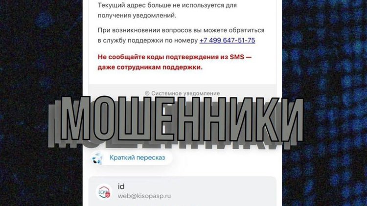 photo_2026-01-30_14-33-20