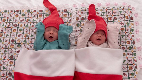 photo_2026-02-02_15-16-39