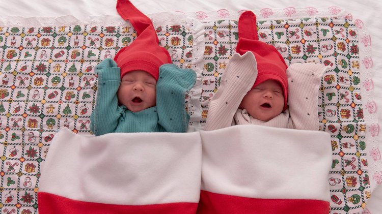 photo_2026-02-02_15-16-39