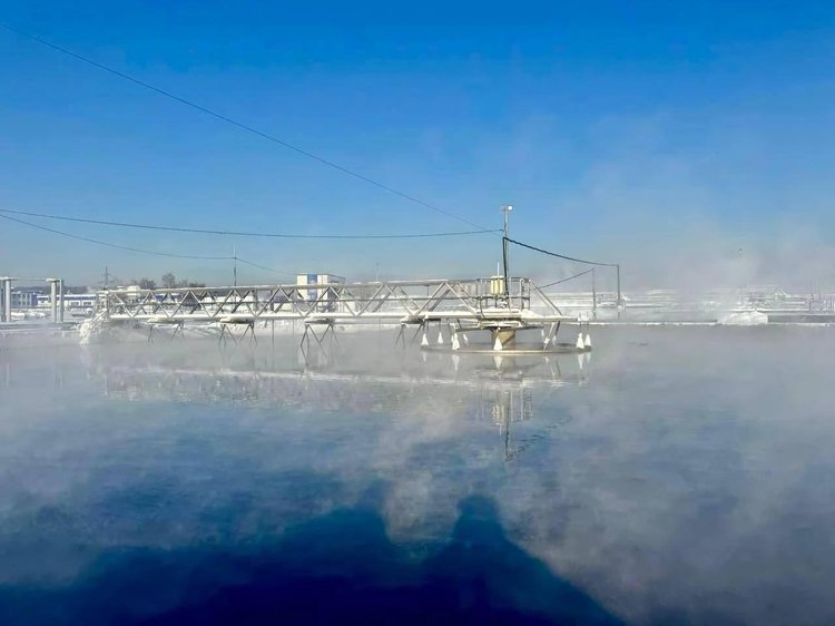 photo_2026-02-06_19-28-54