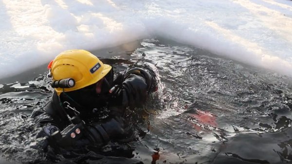 photo_2026-02-08_14-31-39