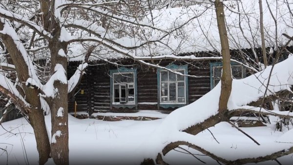 photo_2026-02-08_14-45-18