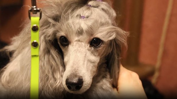 photo_2026-02-10_14-10-07