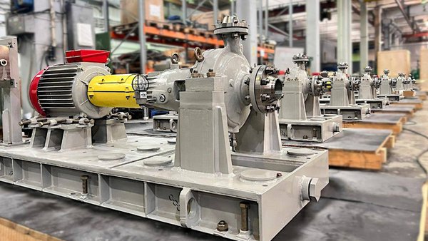 photo_2026-02-11_10-04-12