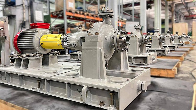 photo_2026-02-11_10-04-12