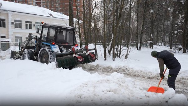 photo_2026-02-11_19-09-09