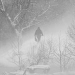 photo_2026-02-16_13-19-08