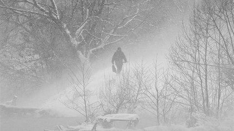 photo_2026-02-16_13-19-08