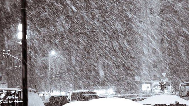 photo_2026-02-19_08-59-29