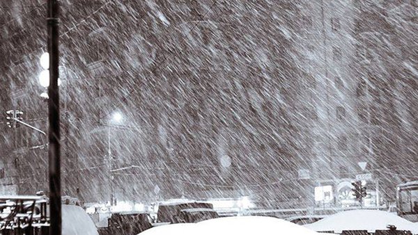 photo_2026-02-19_08-59-29