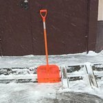 photo_2026-02-19_11-10-29