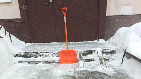 photo_2026-02-19_11-10-29