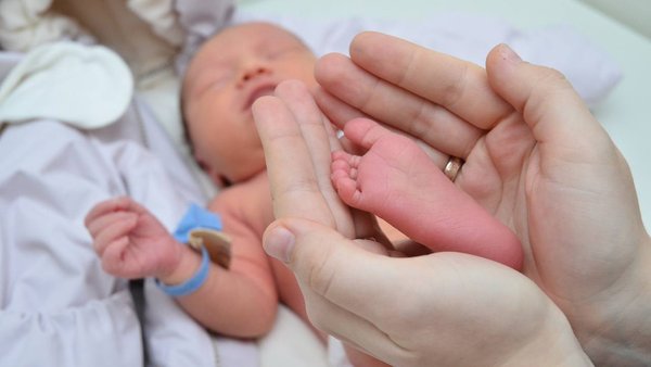 photo_2026-03-02_12-11-42