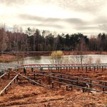 photo_2026-04-06_17-35-34