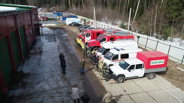 пожары в лесу