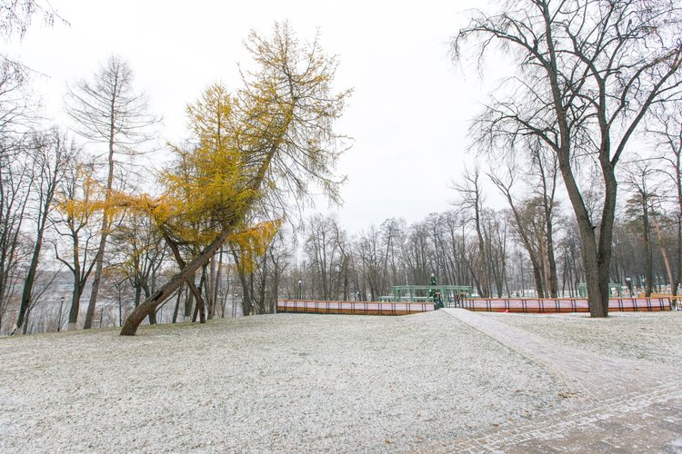 ramenskoe-gorodskoj-park-kultury-i-otdyha-zima-28