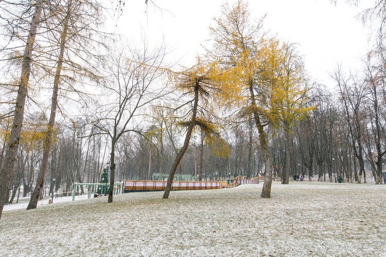 ramenskoe-gorodskoj-park-kultury-i-otdyha-zima-40