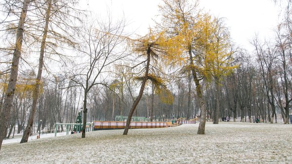 ramenskoe-gorodskoj-park-kultury-i-otdyha-zima-40