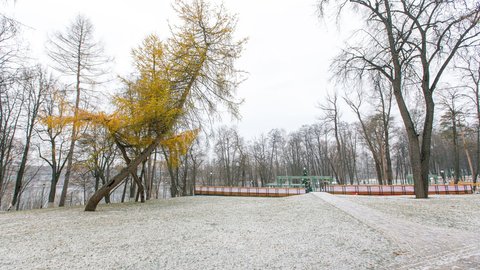 ramenskoe-gorodskoj-park-kultury-i-otdyha-zima-28
