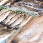 raw-fish-market