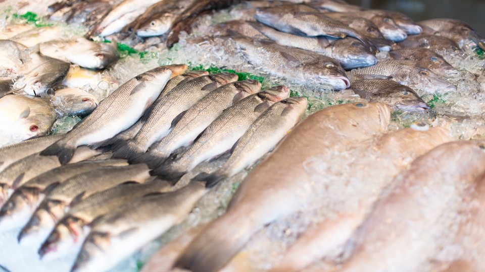raw-fish-market
