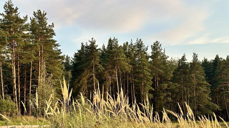 resize_1280xauto