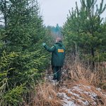 ry71e0e00onr6415xdt81t5sezh6i7qr