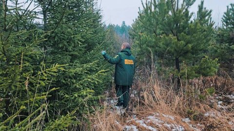 ry71e0e00onr6415xdt81t5sezh6i7qr