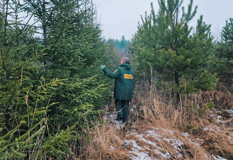 ry71e0e00onr6415xdt81t5sezh6i7qr